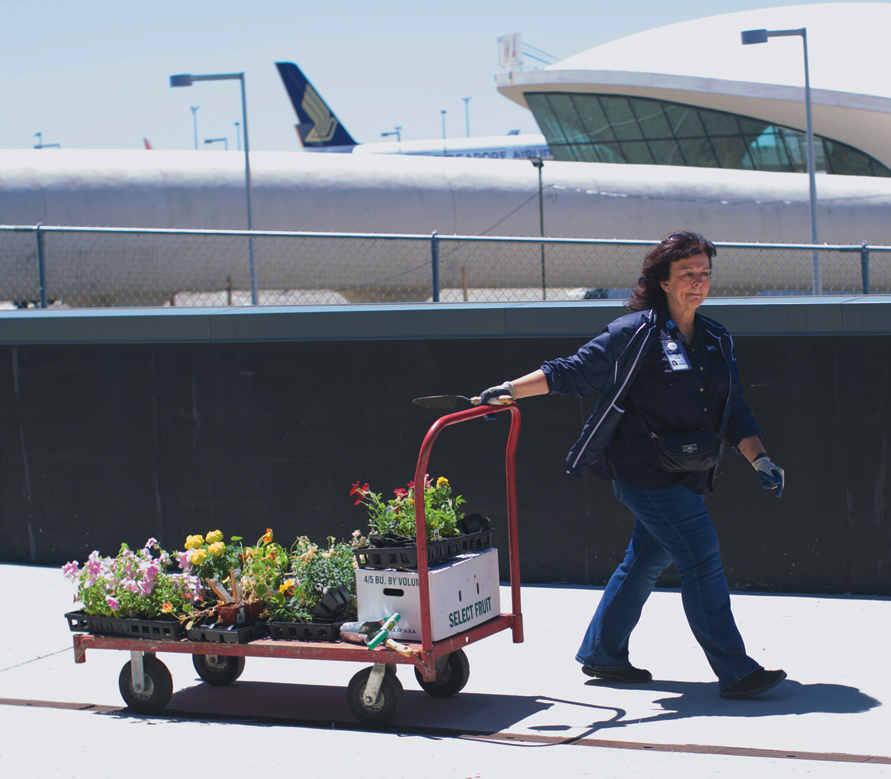 Farmer Bradley Pearce Fleming joins JetBlue volunteers who help maintain Terminal 5's 24,000-square-foot of rooftop farm.