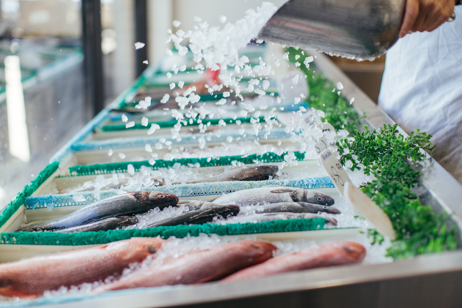 Many more than seven fishes fill the counter at Crossbay Seashell Fish Market in Howard Beach, Queens.