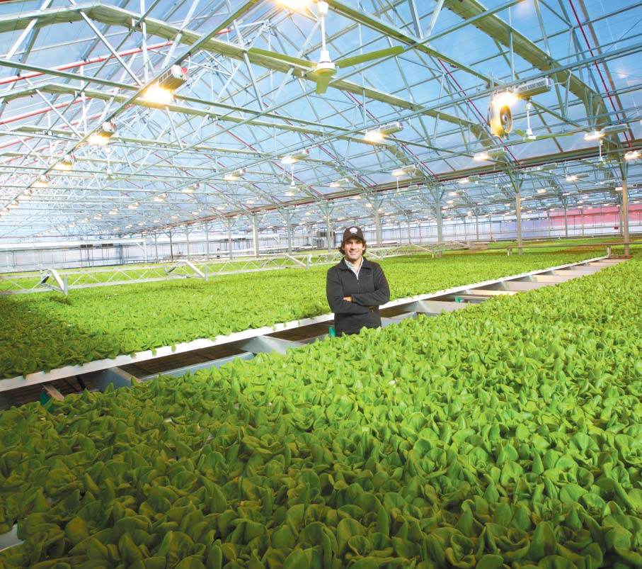 Gotham Greens founder Viraj Puri in their greenhouse in Hollis, Queens.