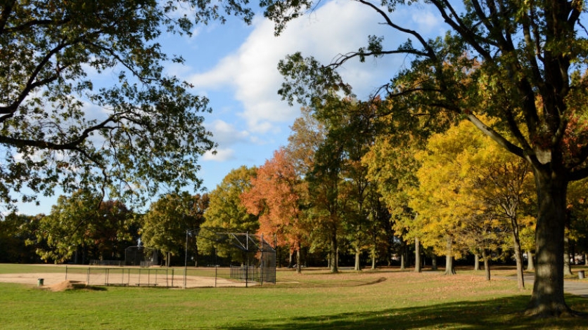 Alley Pond Park