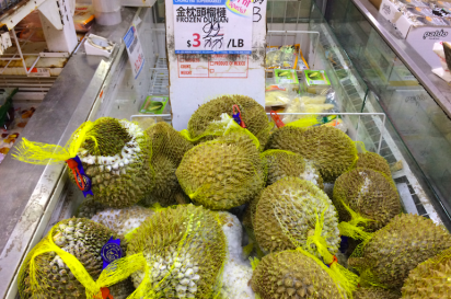 Whole durian fruit in Queens, New York.
