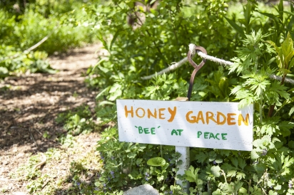 The sign is for visitors—the bees know how to find the honey garden at Queens County Farm.