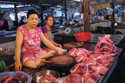 Women selling cuts of meat at one of Hanoi's open air markets.