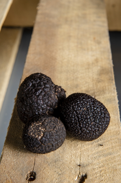 Burgundy truffles (Tuber uncinatum), sourced from Abruzzo, Italy by Regalis Foods.
