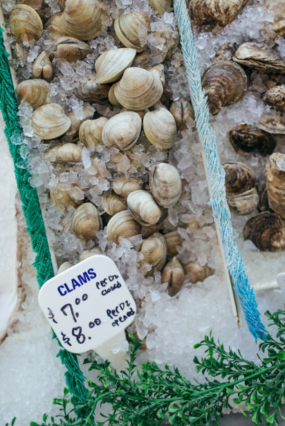 Clams ready for sale at Fish market in Queens.
