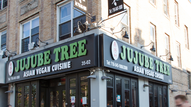 Jujube Tree in Astoria, Queens New York.